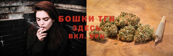 тгк Верея