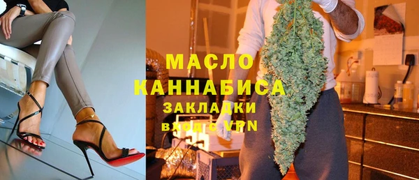 spice Ельня