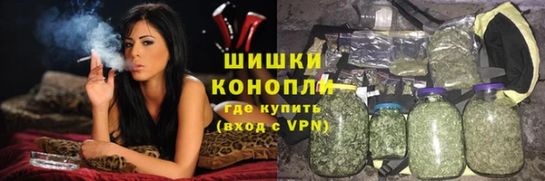 spice Богданович