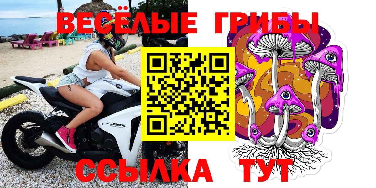 цены   Городец  Псилоцибиновые грибы Psilocybine cubensis 