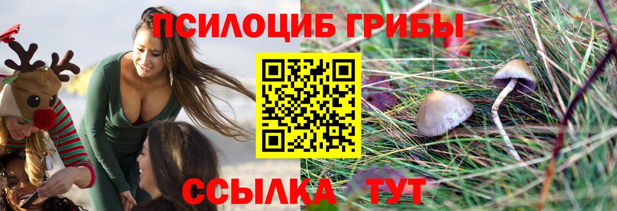 Городец  Галлюциногенные грибы Cubensis  Вход с VPN  Галлюциногенные грибы Magic Shrooms 